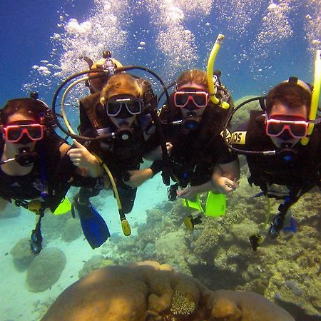 Cairns Holiday Lodge Εξωτερικό φωτογραφία